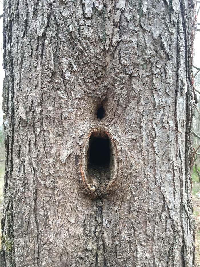 Будь как дома, путник, я ни в чем не откажу