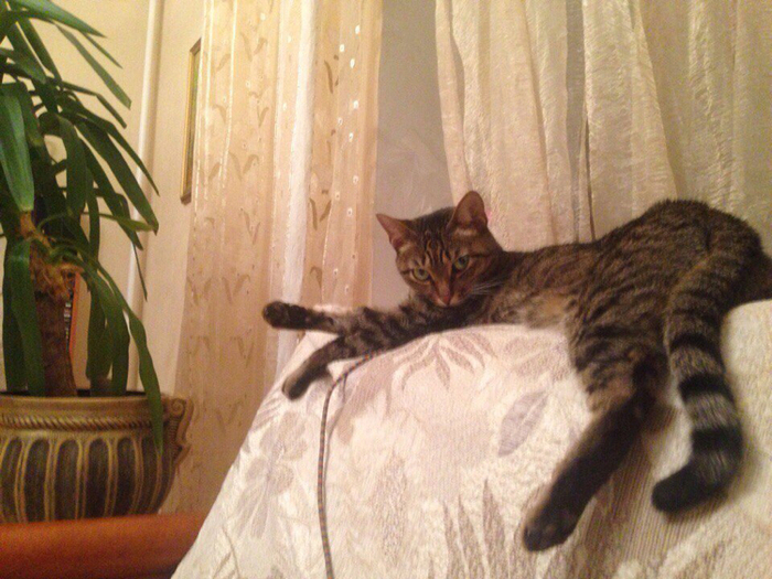 � ����� � �������������� �� ������