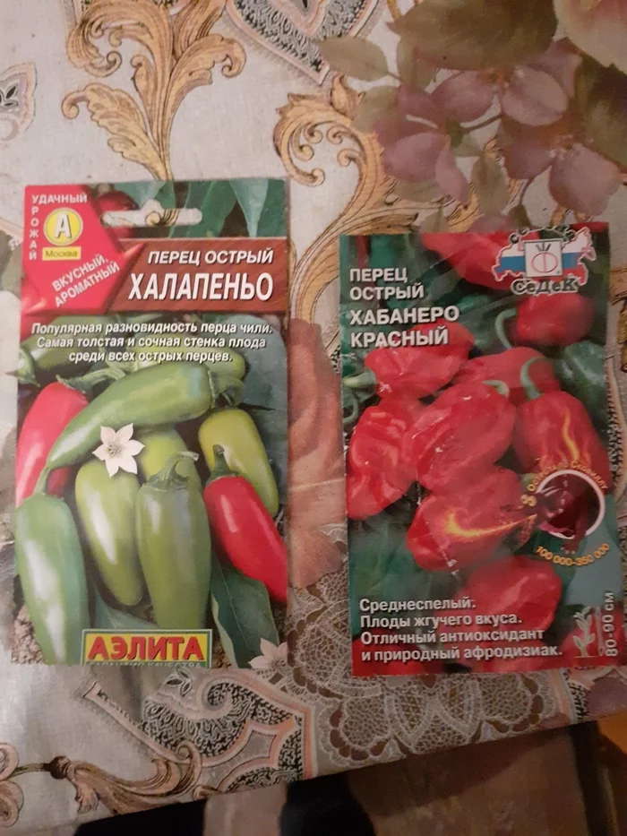 Bought jalapeno and habanero seeds - My, Hot peppers, Gardening, Longpost