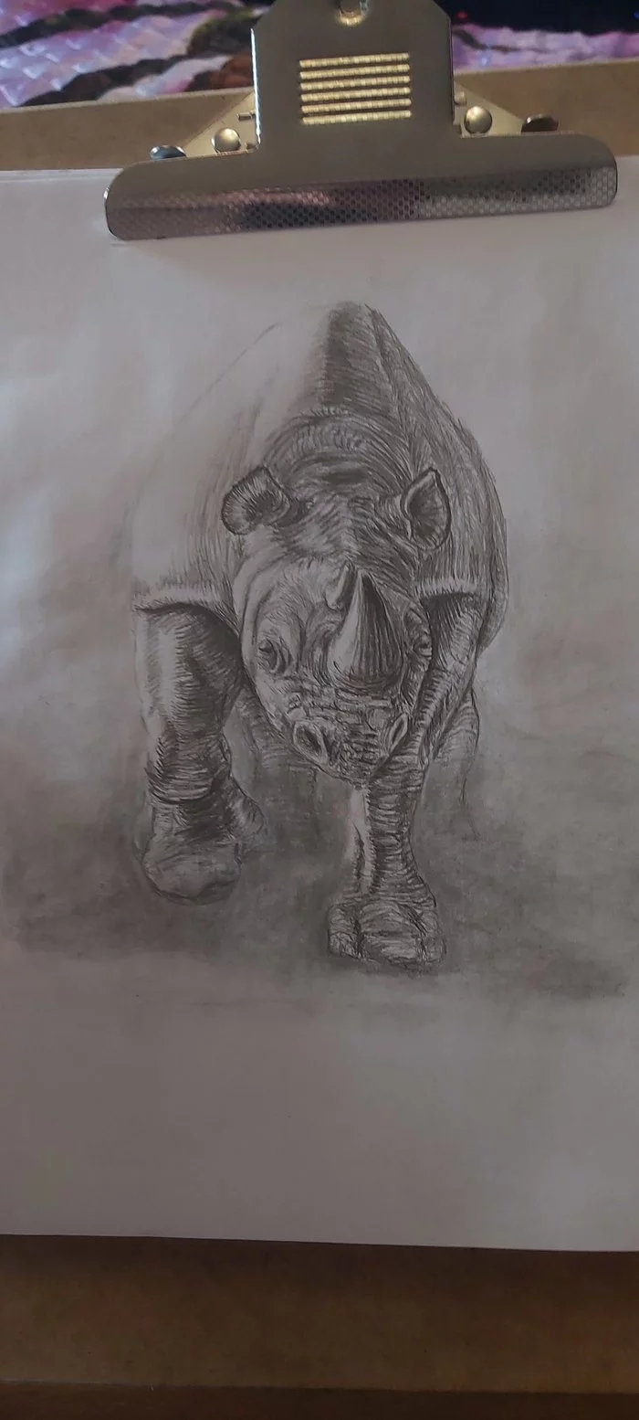 Rhinoceros - Longpost, Sketchbook, Sketch, Pencil drawing, Drawing, Rhinoceros, My