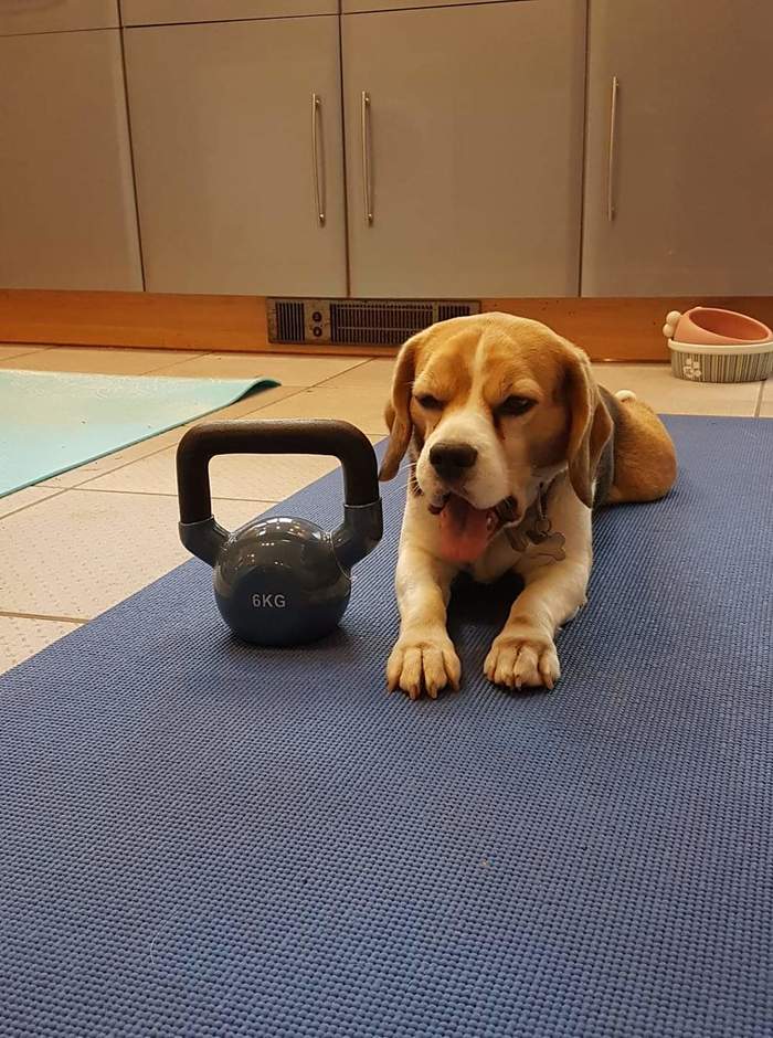 Потренировался и устал