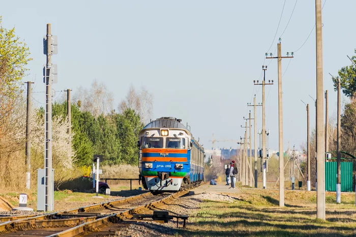 Diesel train DR1A-265 - My, DR1A, A train, Republic of Belarus, Rails, Brest, Stop, Nature, Spring