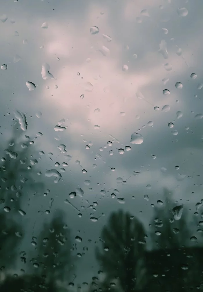 rainy april - My, Spring, Rain