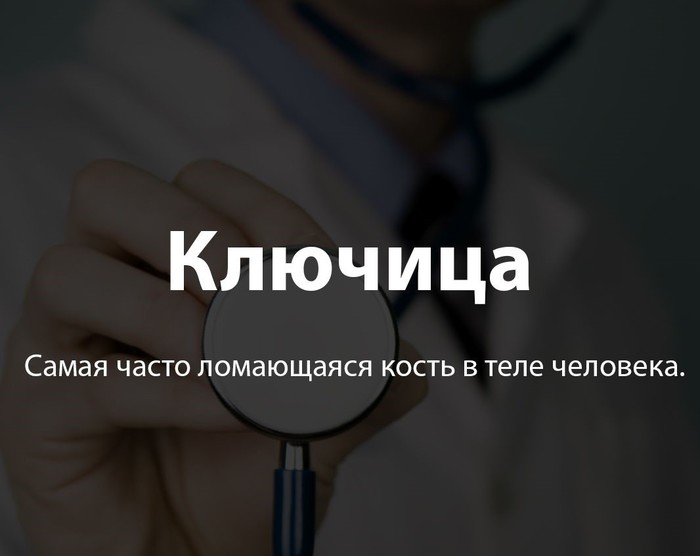 Для чего нужен плечевой пояс. Смотреть фото Для чего нужен плечевой пояс. Смотреть картинку Для чего нужен плечевой пояс. Картинка про Для чего нужен плечевой пояс. Фото Для чего нужен плечевой пояс