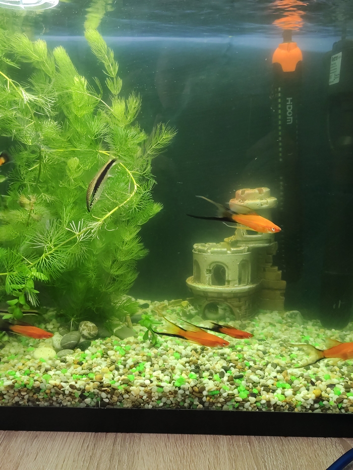 Прошло 4 дня...