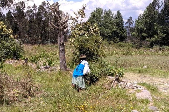 Про жизнь индейцев в Андах Эквадор, Индейцы, Анды, Жизнь в горах, Длиннопост