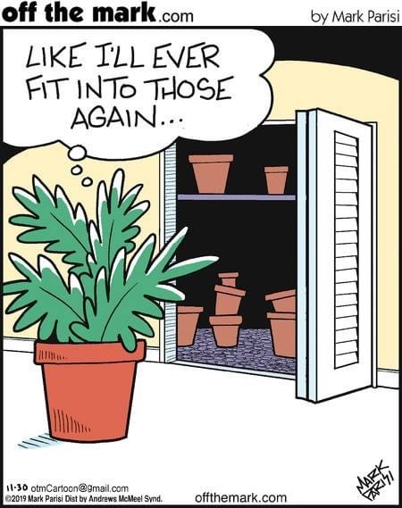 Разбирая старый гардероб