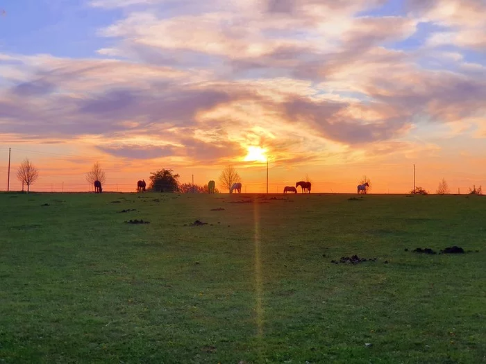 Sunset. HORSES... - My, Sunset, Horses