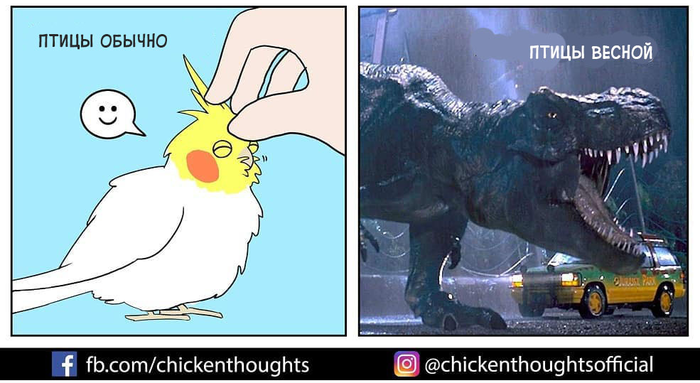    Chicken thoughts, , 