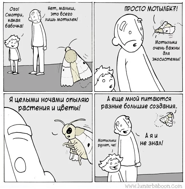 Butterfly - Comics, Butterfly, Lunarbaboon, Translated by myself