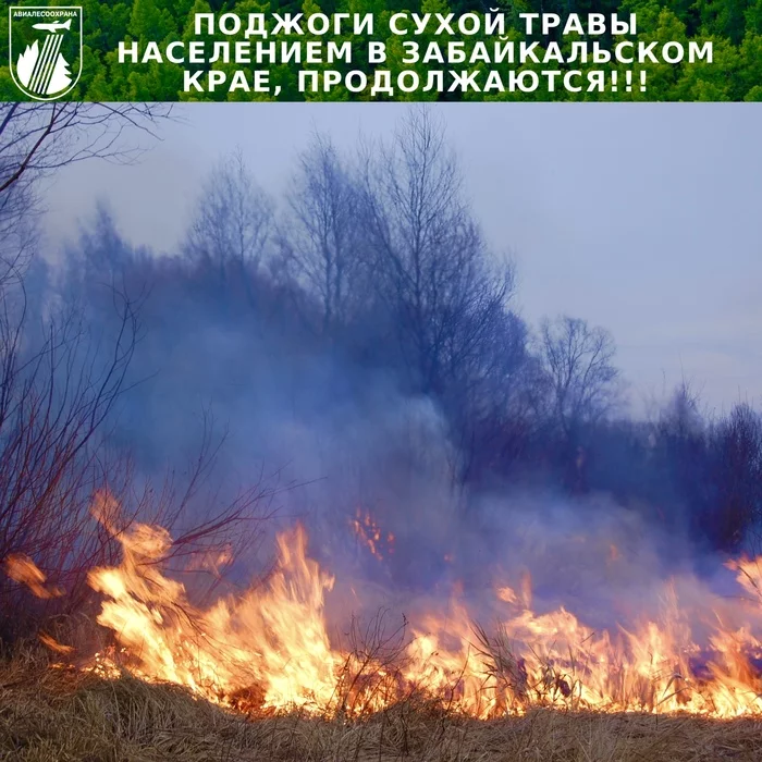 BURNING OF DRY GRASS BY THE POPULATION IN THE TRANS-BAIKAL TERRITORY - CONTINUE!!! - My, Negative, Fallen Grass, Forest fires, Emergency, Nature, Transbaikalia
