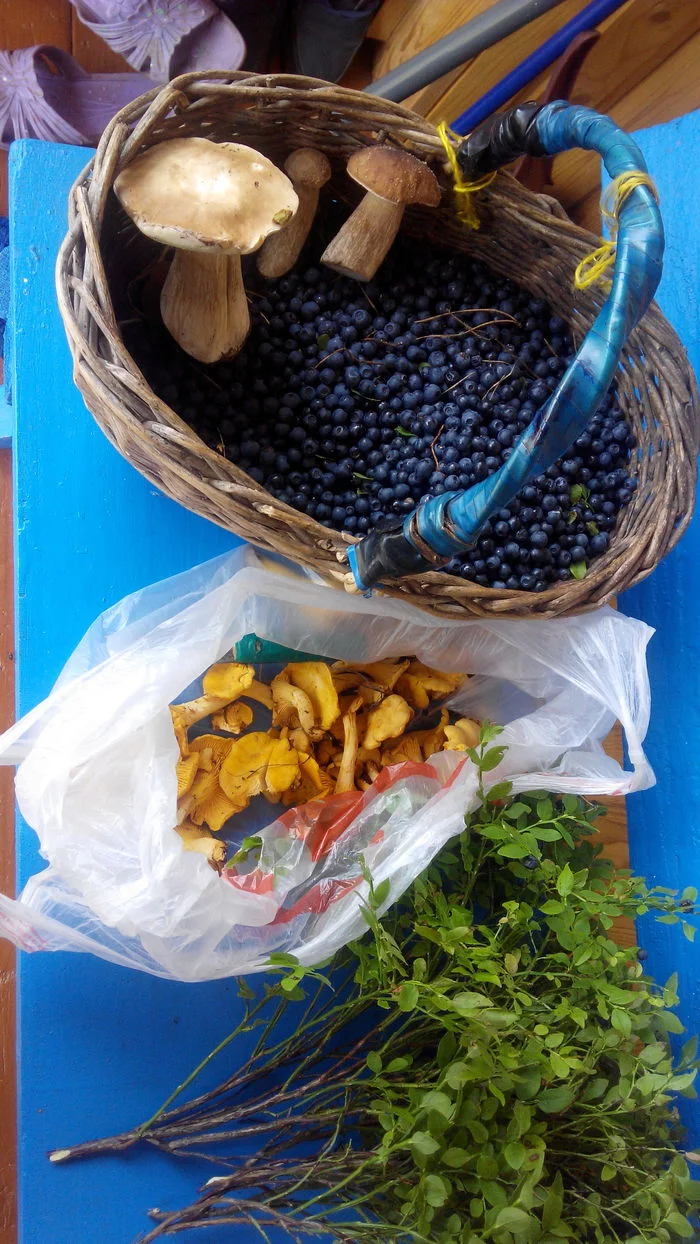 Goodies from last summer) - My, Vacation, Longpost, Mushrooms, Berries, Tomatoes