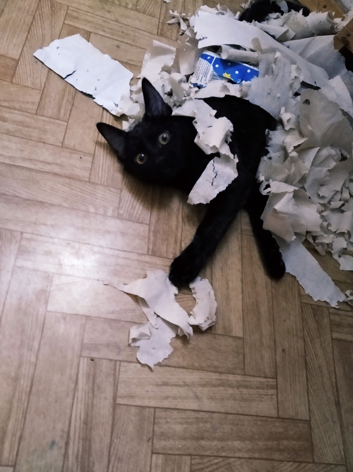 � ����-�� "����-�����", � ��� �������������� ����� ����������