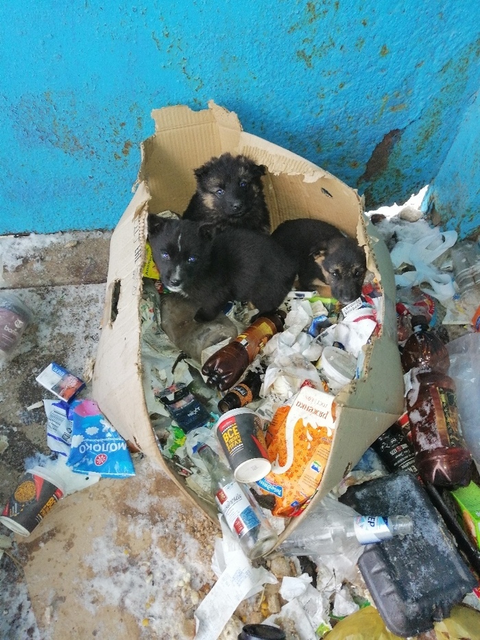 - -, ,  , , 