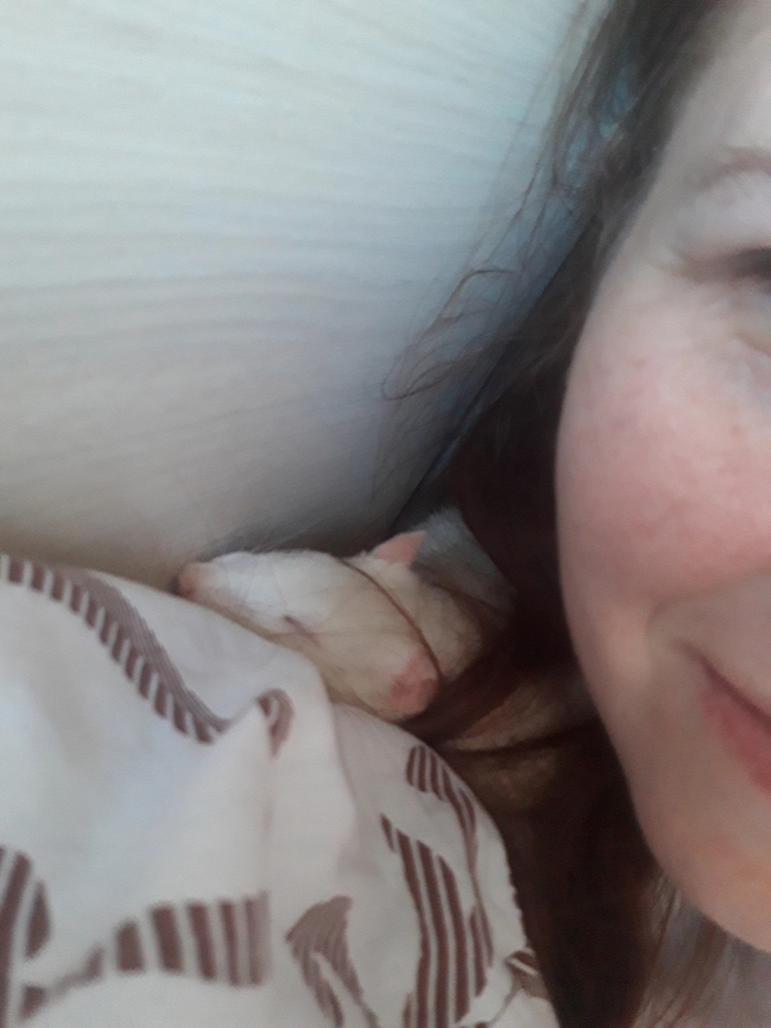 Ответ на пост «Противный мерзкий зверь»