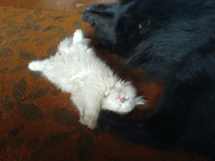       :) , -, 