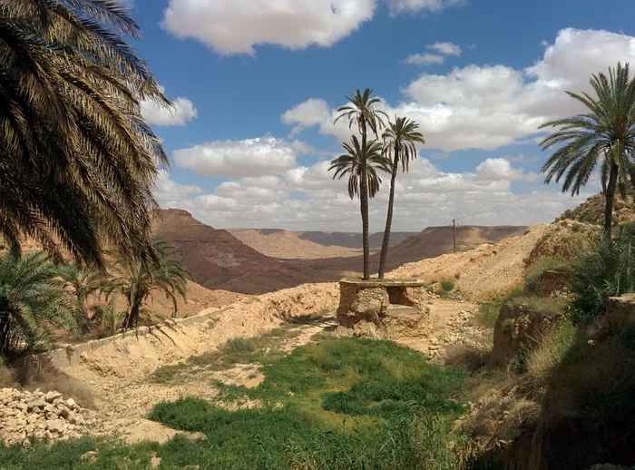 Libya... - My, Libya, The photo, Longpost