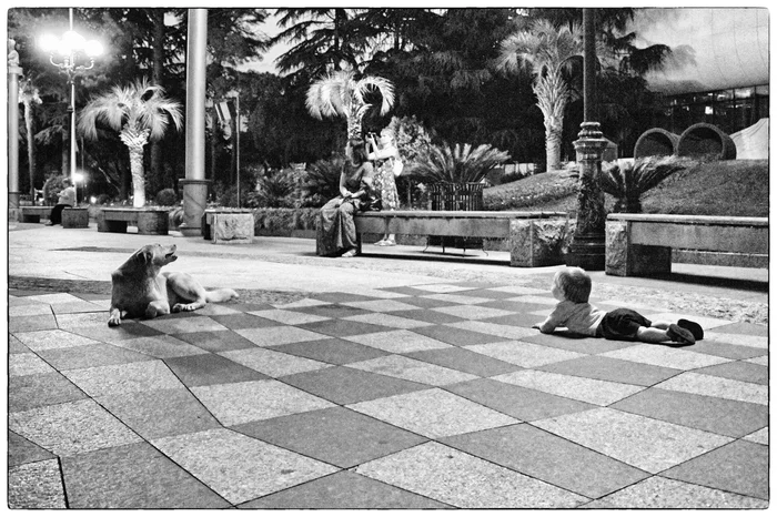 Summer Batumi - My, Georgia, Batumi, Children, Dog, Walk