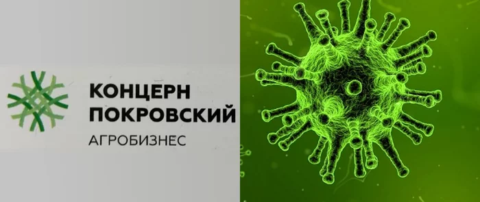 «Покровский» бумеранг.Крупнейшего земельного рейдера Юга России рвут на части - Моё, Концерн покровский, Негатив, Коррупция, Закон, Длиннопост