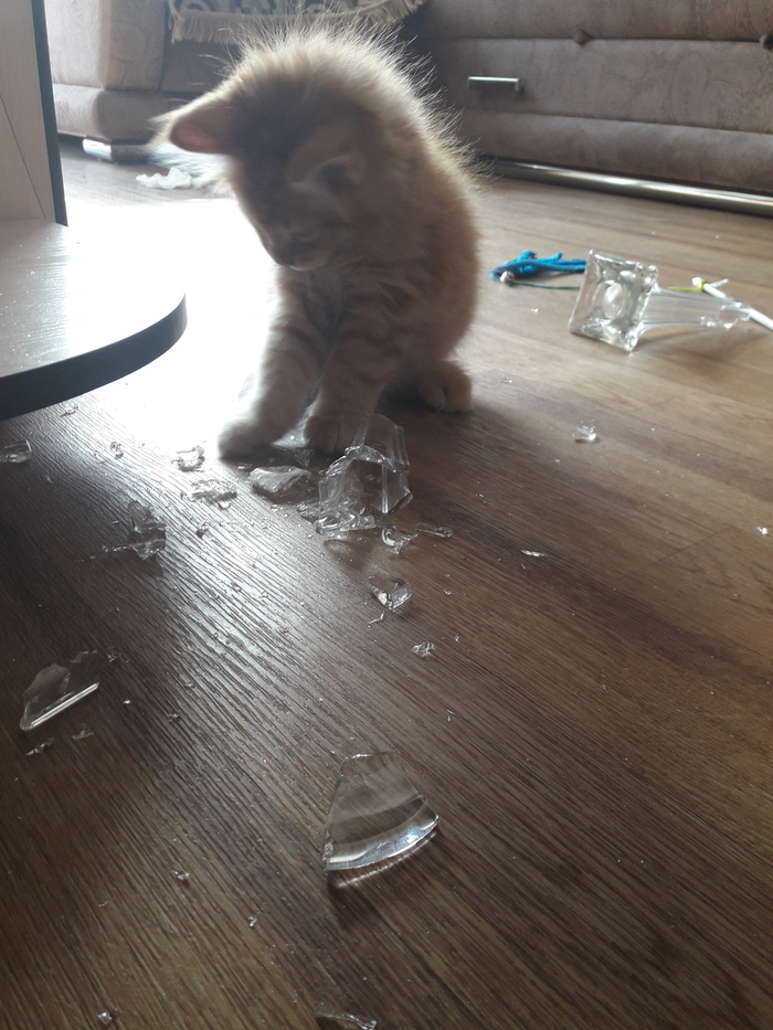      -, , 