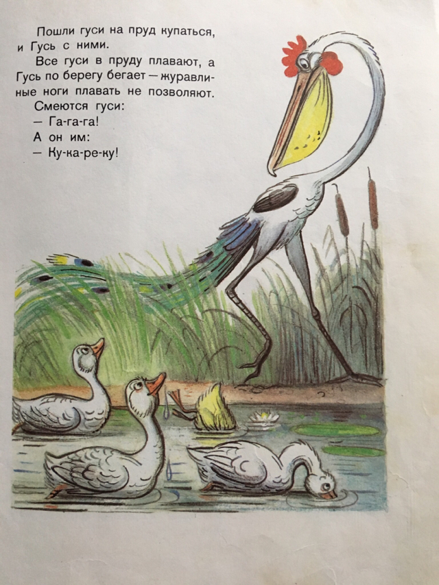 Metamorphoses of a goose - Story, Humor, Longpost