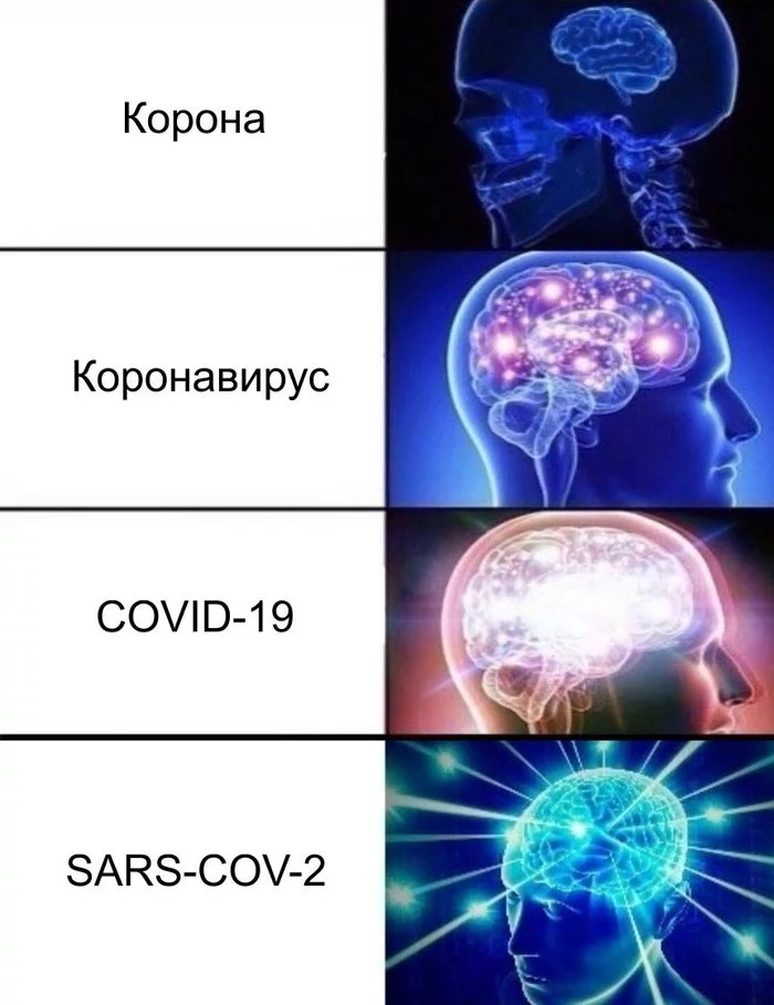 Представляется разными именами - Моё, Коронавирус, Картинка с текстом