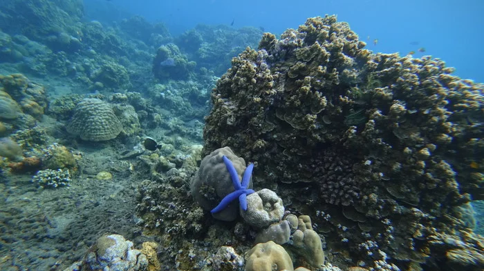 Amed. Where in Bali to relax from Bali - My, Bali, Amed, Travels, Indonesia, Longpost