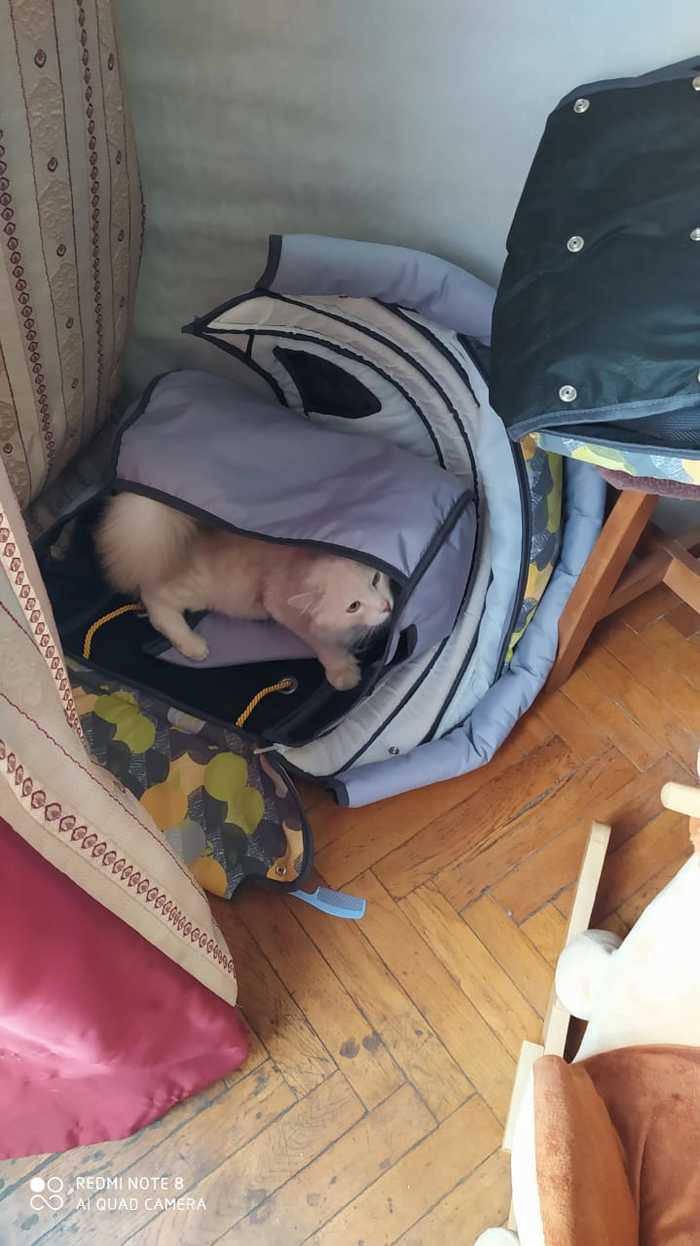 Настройка камеры