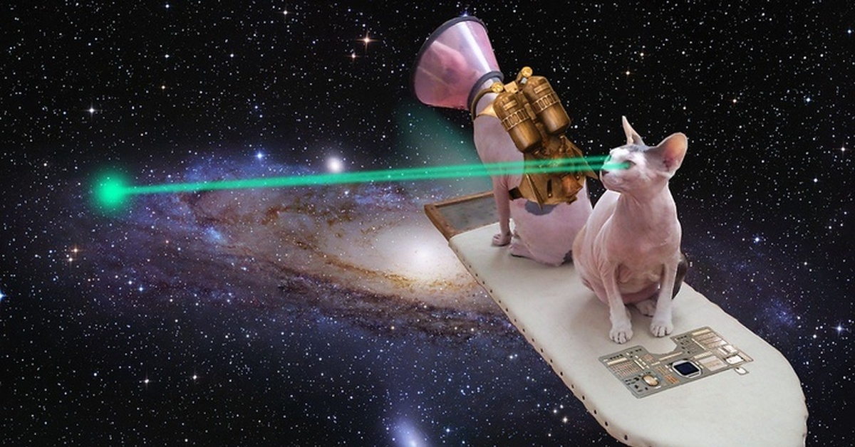 Space animals. Космический кот. Кот в космосе. Кот летает в космосе. Сфинкс в космосе.