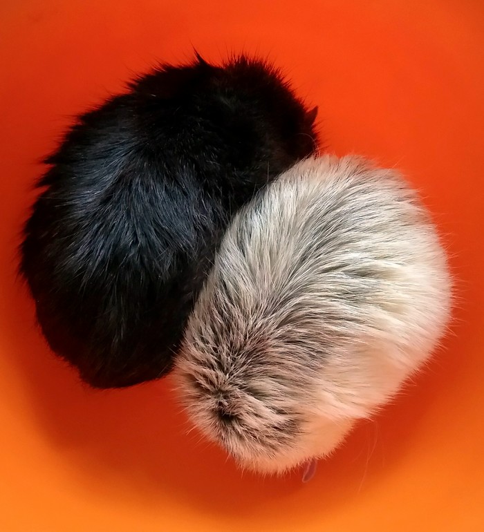 Ленивая суббота