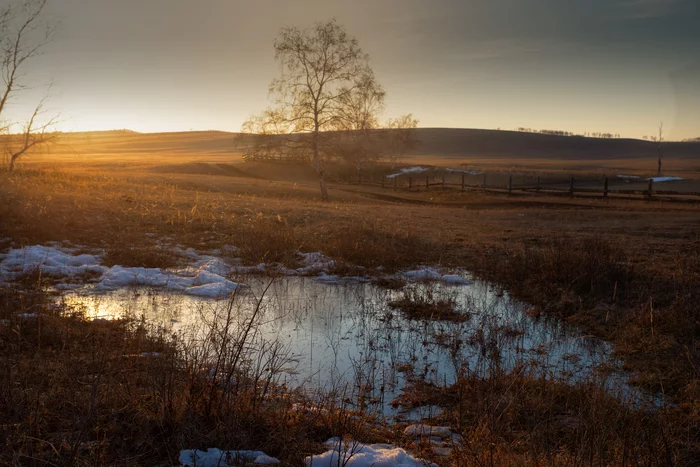 golden sunset - My, Sunset, Landscape, Spring, Golden hour