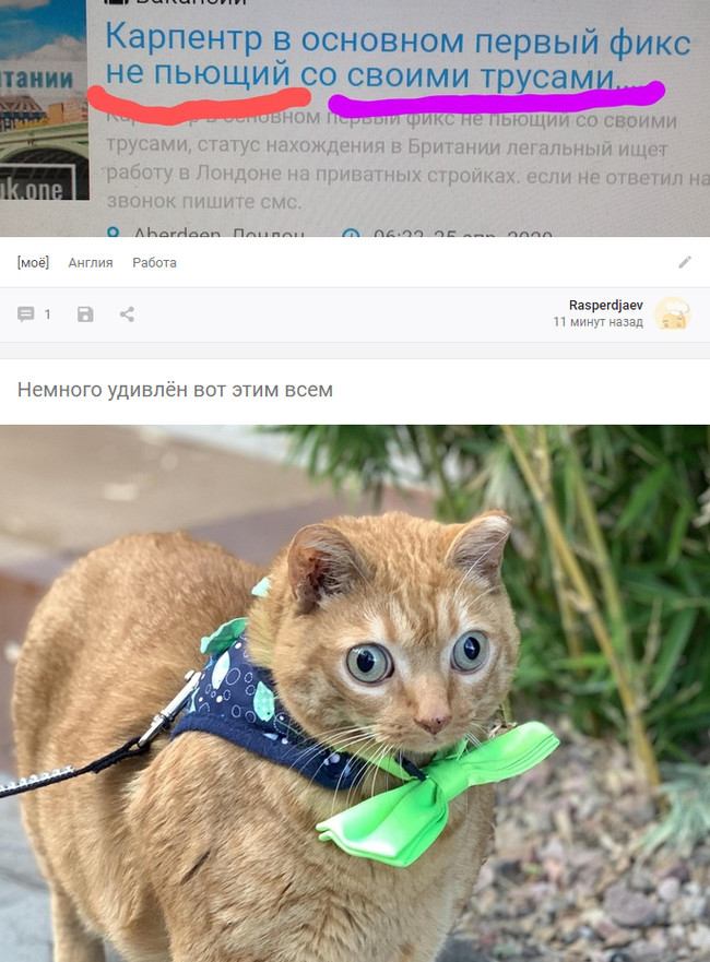 ���������� �� ���������� !