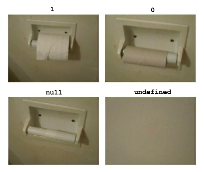 Programming - Programming, Variables, Professional humor, Humor, Toilet paper, Picture with text, Null