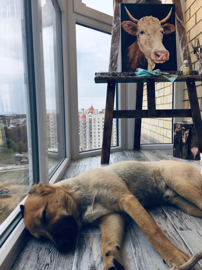 Portrait of a beloved chick - Dog, Cow, Painting