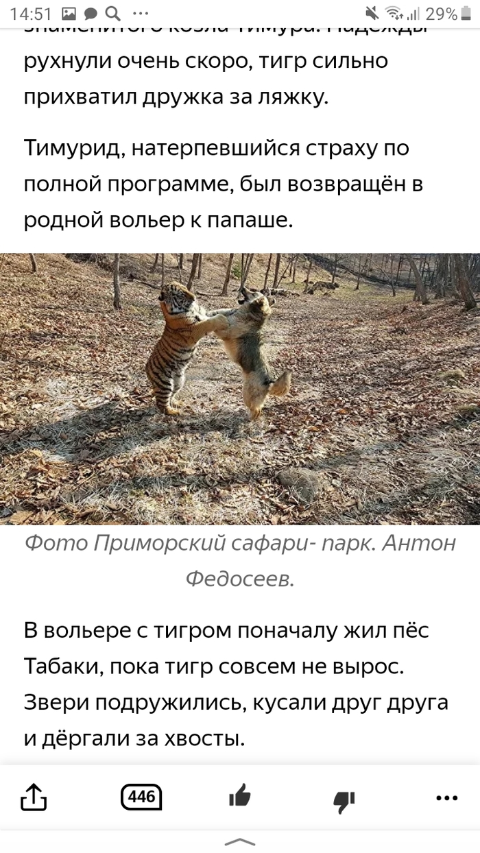 Что случилось с козлом тимуром. Смотреть фото Что случилось с козлом тимуром. Смотреть картинку Что случилось с козлом тимуром. Картинка про Что случилось с козлом тимуром. Фото Что случилось с козлом тимуром