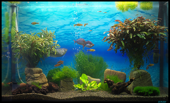 Запустился