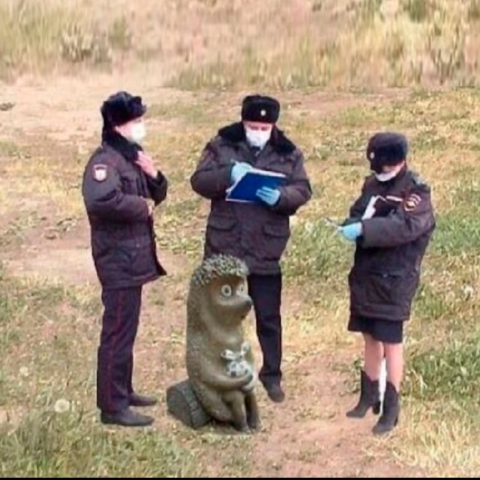 ,   ?   ,   