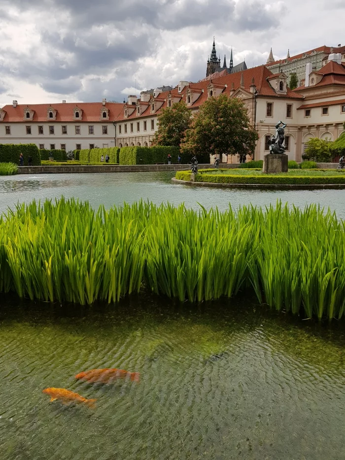 Spring in Prague - My, Prague, Czech