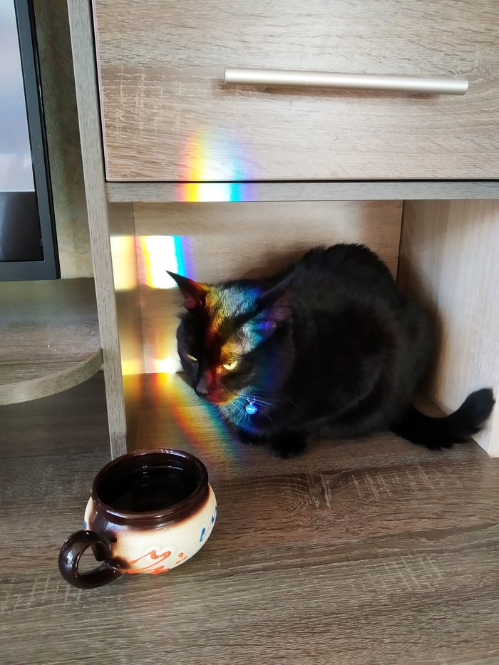 �������� ����)