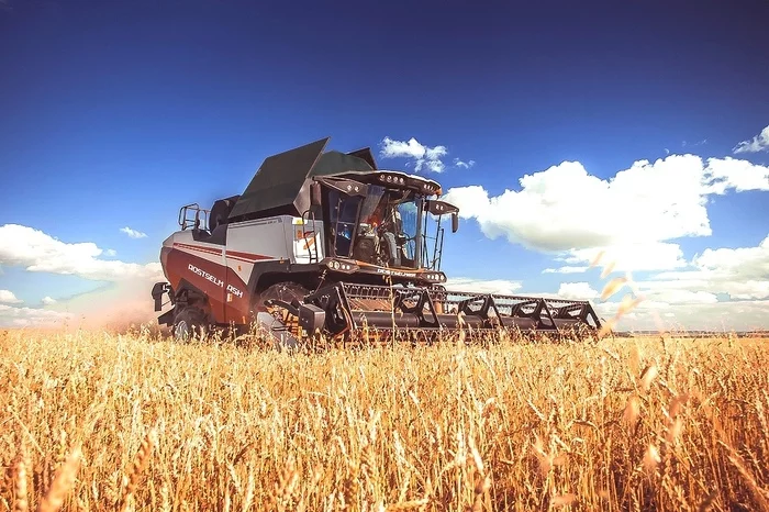 Bloomberg warned of a shortage of Russian wheat in the world - Food, Wheat, Russia, news