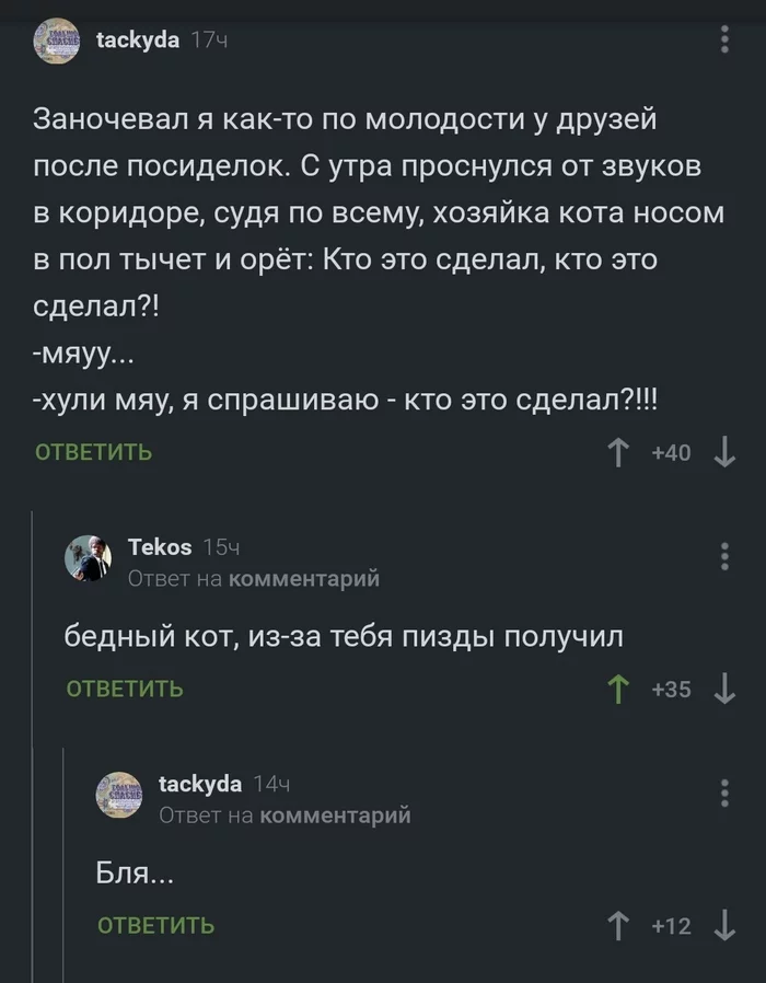 Кто это сделал? - Комментарии на Пикабу, Кот, Мат, Скриншот