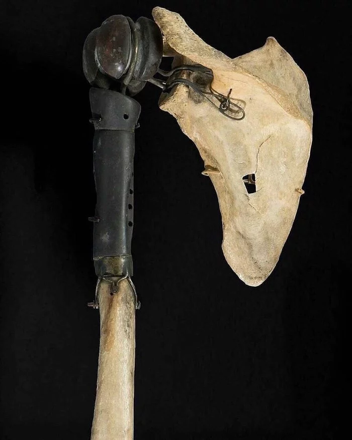 What the prosthetic part of the humerus used to look like - Prosthesis, Prosthetics, Hand