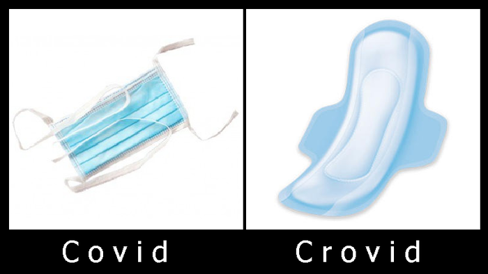 ���� �� �������� ����