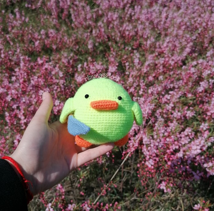 Тот самый цыпленок из мема