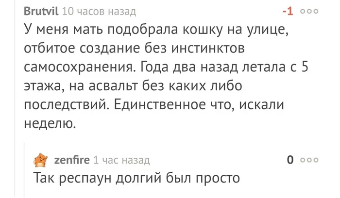 Ё*нутые кошки в сочетании с классикой Пикабу - Кот, Комментарии на Пикабу, Длиннопост