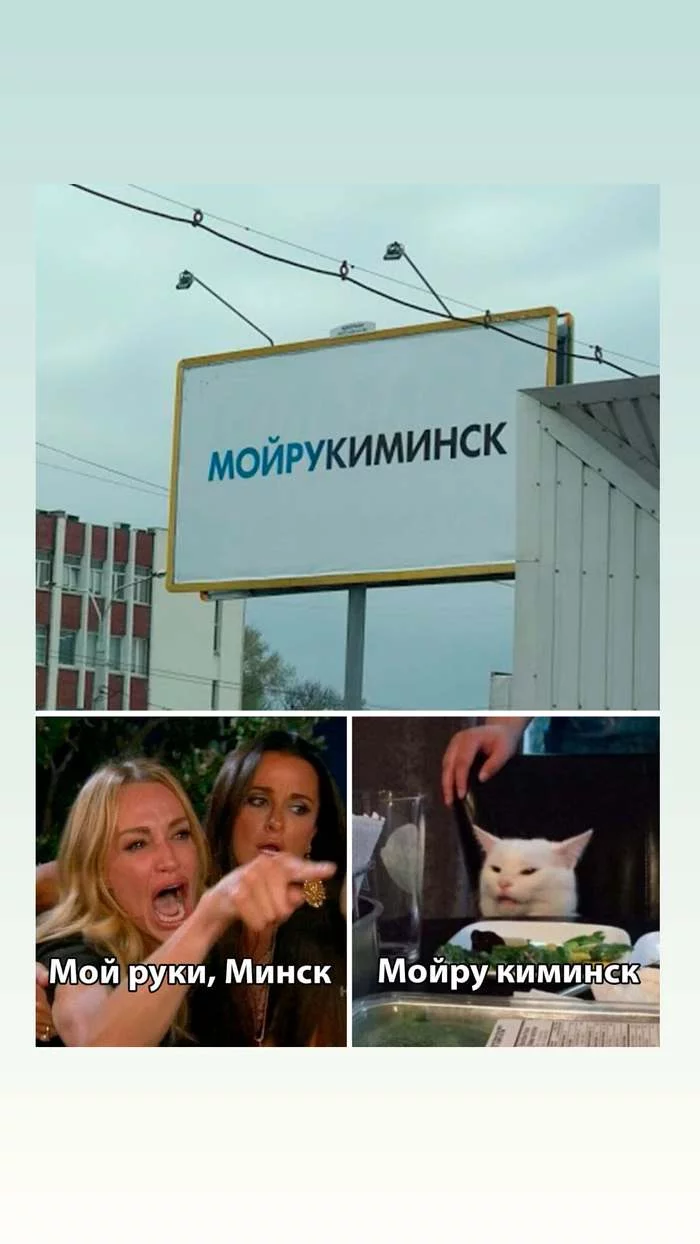 Moira Kiminsk - My, Quarantine, Minsk, Advertising, Design, Memes, Rock ebol, Two women yell at the cat