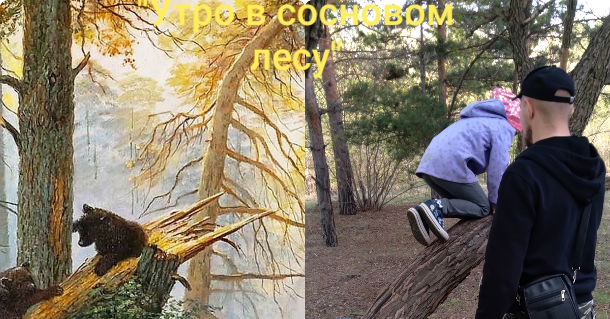 "Утро в сосновом лесу" | Пикабу