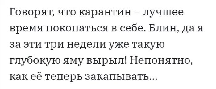 Главное чтоб туалет из неё не сделали... - Карантин, Копание в себе, Яма, Три недели