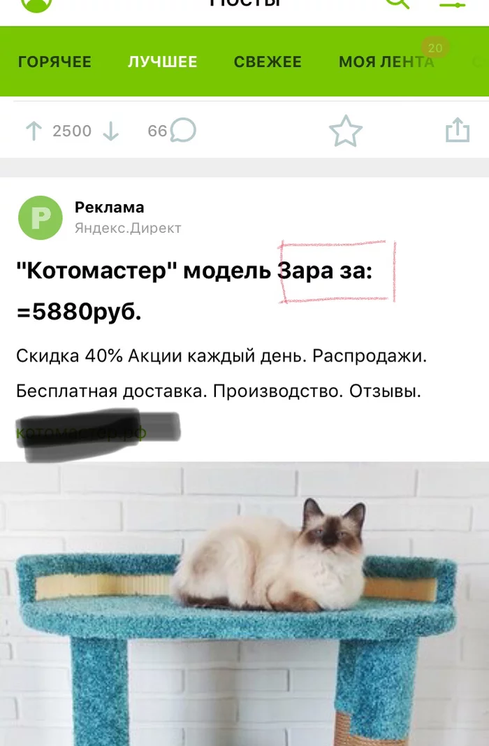 At first I didn’t understand what they were selling - Advertising, cat, It seemed, Scratching post