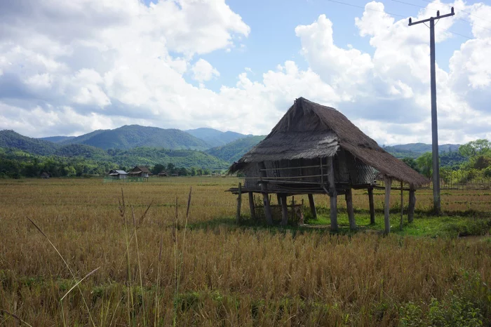 Laos - where is it and what is it eaten with? - My, Travels, Longpost, Laos, The culture, People